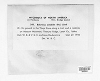 Image Associated With the Occurence
